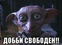  Добби свободен!!
