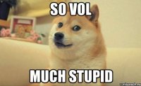 so vol much stupid