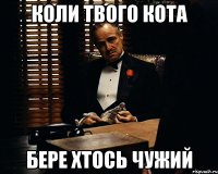 коли твого кота бере хтось чужий