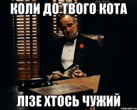 коли до твого кота лізе хтось чужий