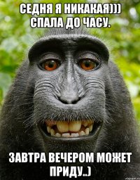 СЕДНЯ Я НИКАКАЯ))) СПАЛА ДО ЧАСУ. ЗАВТРА ВЕЧЕРОМ МОЖЕТ ПРИДУ..)