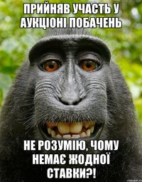 прийняв участь у аукціоні побачень не розумію, чому немає жодної ставки?!