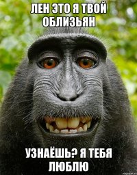 Лен это я твой облизьян Узнаёшь? Я тебя люблю