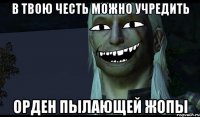 В твою честь можно учредить орден пылающей жопы