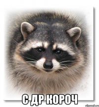  С ДР короч