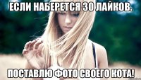 Если наберется 30 лайков. Поставлю фото своего кота!