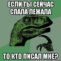 если ты сейчас спала лежала то кто писал мне?