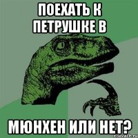 Поехать к Петрушке в Мюнхен или нет?