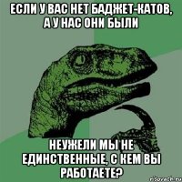 Если у вас нет баджет-катов, а у нас они были неужели мы не единственные, с кем вы работаете?