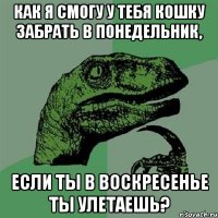 как я смогу у тебя кошку забрать в понедельник, если ты в воскресенье ты улетаешь?