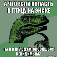 А что если попасть в птицу на энске Ты и в правду становишься невидимым?