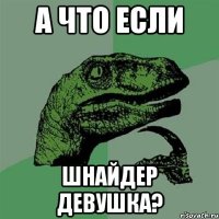 А что если Шнайдер девушка?