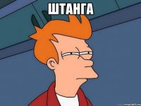 штанга 