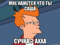 мне кажется что ты саша сучка ? ахха