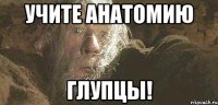 учите анатомию ГЛУПЦЫ!