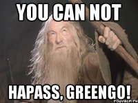 You can not наpass, greengo!