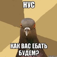 Нус как вас ебать будем?