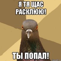 я тя щас расклюю! ты попал!