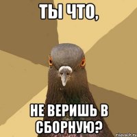 Ты что, Не веришь в сборную?