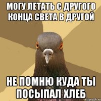 МОГУ ЛЕТАТЬ С ДРУГОГО КОНЦА СВЕТА В ДРУГОЙ Не помню куда ты посыпал хлеб