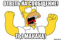 Ответь на сообщение! ТЫ МАКАКА!