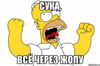 СУКА, ВСЁ ЧЕРЕЗ ЖОПУ