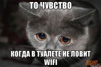 то чувство когда в туалете не ловит WIFI