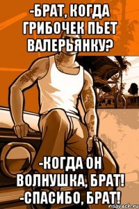 -Брат, когда грибочек пьет валерьянку? -Когда он волнушка, брат! -Спасибо, брат!