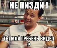 НЕ ПИЗДИ ! ТЫ МОЙ ГРЕБЕНЬ ВИДЕЛ ?