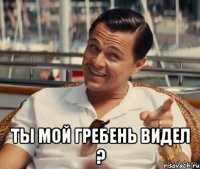  ТЫ МОЙ ГРЕБЕНЬ ВИДЕЛ ?