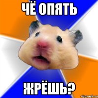 Чё опять Жрёшь?