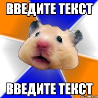 введите текст введите текст