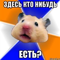 ЗДЕСЬ КТО НИБУДЬ ЕСТЬ?