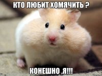 Кто любит хомячить ? Конешно ,я!!!