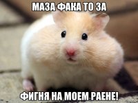 Маза фака то за фигня на моем раене!