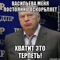 Васильева меня постоянно оскорбляет Хватит это терпеть!