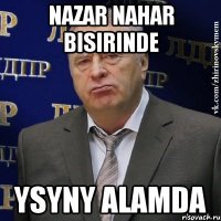 nazar nahar bisirinde ysyny alamda