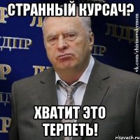 Странный курсач? Хватит это терпеть!