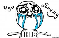  Bikker