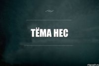 Тёма нес