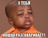 У тебя кошка разговаривает?