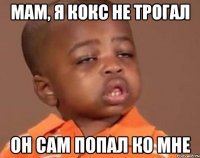 Мам, я кокс не трогал Он сам попал ко мне