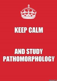 KEEP CALM and STUDY PATHOMORPHOLOGY