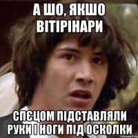 а шо, якшо вітірінари спєцом підставляли руки і ноги під осколки