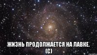  Жизнь продолжается на лавке. (С)