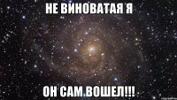 Не виноватая я Он сам вошел!!!