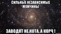 Сильные независимые мужчины заводят не кота, а корч !