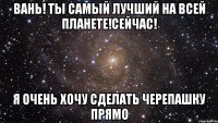 Вань! Ты самый лучший на всей планете!сейчас! Я очень хочу сделать черепашку прямо