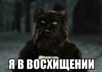  Я В ВОСХИЩЕНИИ