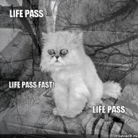 Life pass   Life pass Life pass fast!